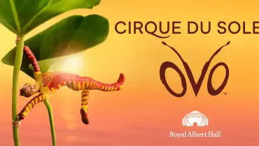 Cirque du Soleil: OVO Tickets