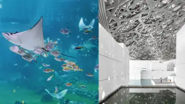 The National Aquarium + Louvre Abu Dhabi - Combo