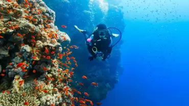 Diving Experience in Khasab