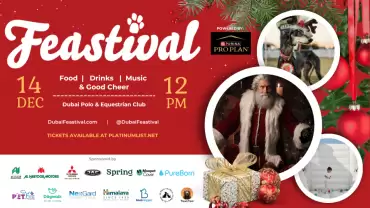 Dog-friendly Family Festival