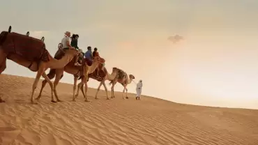 Dubai Sunset Safari Delight with BBQ dinner and camel ride