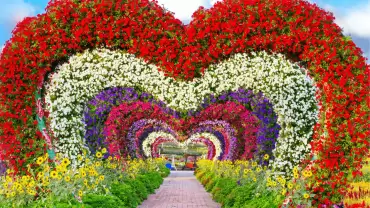 Dubai Miracle Garden