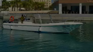 Explore the Marine World Fishing Trip