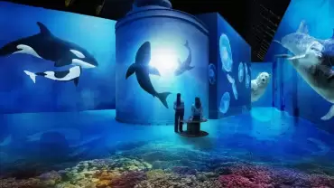 Fabrique des Lumières: The Sea