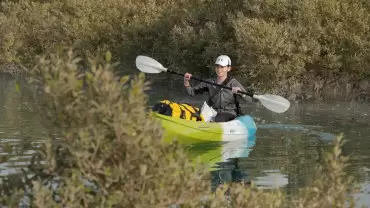 Guided Kayak Tour in the Eastern Mangrove National Park Abu Dhabi