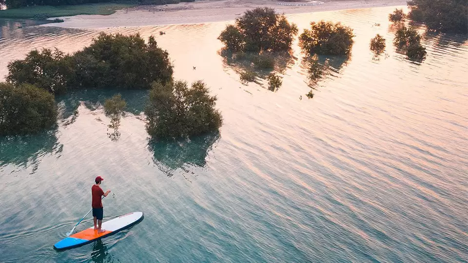 Guided SUP Tour in the Eastern Mangrove National Park Abu Dhabi