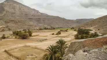 Half-Day Mountain Safari to Jabel Harim