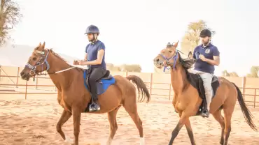 Horse Riding At Mleiha Arena