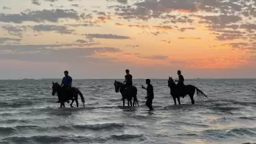 Horse Riding in Jeddah