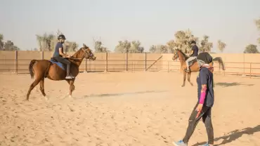 Horse Riding Training Course One Session