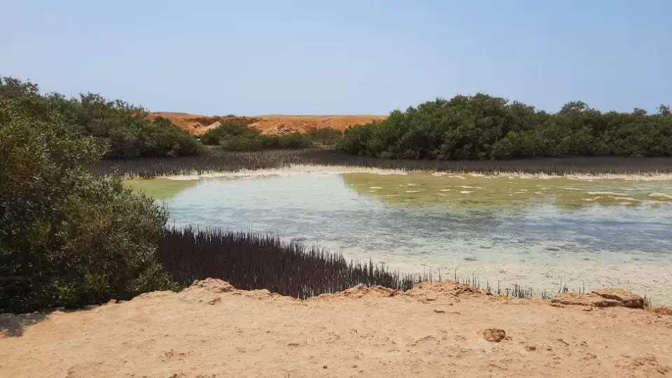 Jeep safari adventure at Nabq National Park with  camel ride and dinner