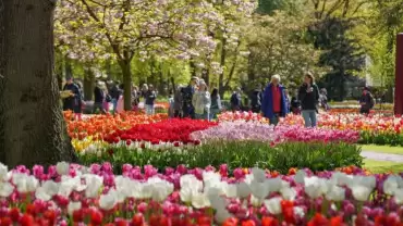 Keukenhof Gardens with transport