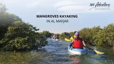 MANGROVES EXPLORATION TOUR - AL MAFJAR