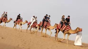 Morning Desert Safari Dubai with Quad Bike, Dune Bashing, Sand Boarding & Camel Ride