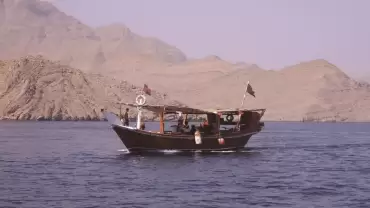 Muscat Dolphin Cruise With Shared Transfers