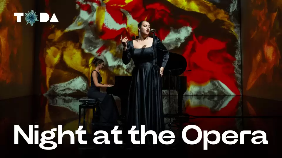 Night at the Opera