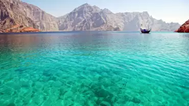 Row the Dhow Sailing Tour