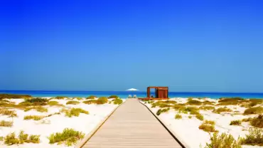 Saadiyat Beach Club - Pool and Beach Day Pass