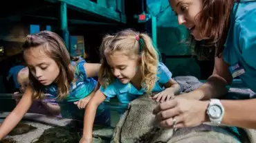 Istanbul Sea Life Aquarium