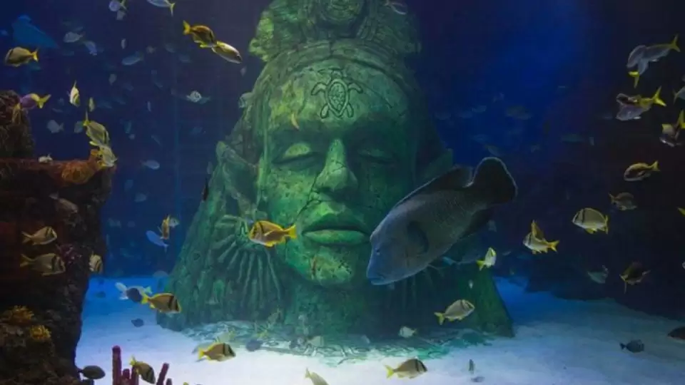 SEA LIFE Manchester Entry Ticket