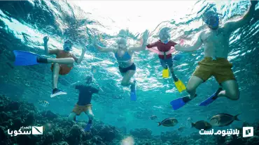 Snorkeling Daily Trips in Jeddah
