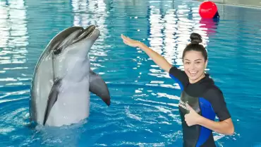 Swimming With Dolphins - Dubai Dolphinarium