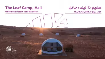 The Leaf Camp - Hail