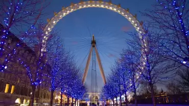 The London Top Sights Tour. Kids Free!