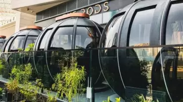 The Pods 4-Course Set Menu