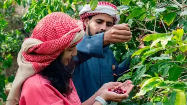 Hike with a local coffee farmer