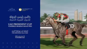 UAE President Cup, Purebred Arabian Grand Prix - Parade Ring