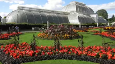 Visit Kew Gardens & 3 Hour Westminster Walking Tour
