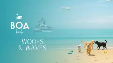 Woofs & Waves at Boa the Beach in Jeddah